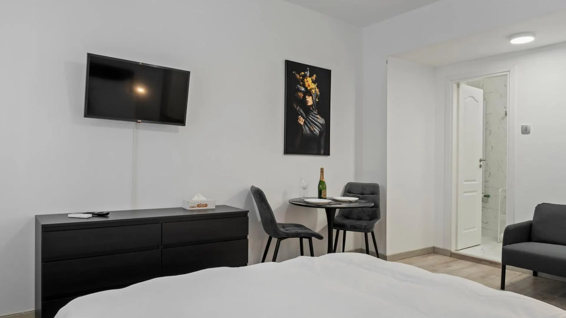 Brand New Studio Cismigiu Park Cti Bucharest 0*,  Romania