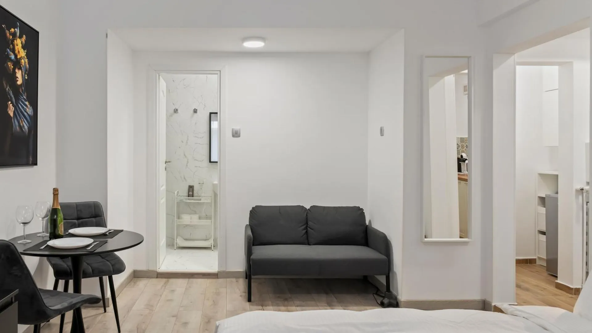 Apartment Brand New Studio Cismigiu Park Cti Bucharest